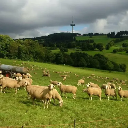 Rosemarie Breungeshain