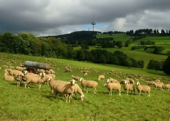 Rosemarie Breungeshain